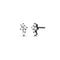 Dominique Cohen diamond constellation post earrings in 14k black gold<span class='visuallyhidden'>; shop help at 760-978-9297.</span>
