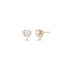 Dominique Cohen diamond star clustr post earrings in rose gold<span class='visuallyhidden'>; shop help at 760-978-9297.</span>