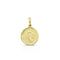 Dominique Cohen solid 18k yellow gold goddess coin enhaner, on hinged bail <span class='visuallyhidden'>Call or text 323-404-2959 if you need shopping assistance.</span>