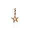 Dominique Cohen solid 18k rose gold starfish charm with white topaz, on hinged bail <span class='visuallyhidden'>Call or text 323-404-2959 if you need shopping assistance.</span>